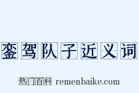 銮驾队子近义词是什么意思的图片